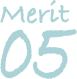 merit05